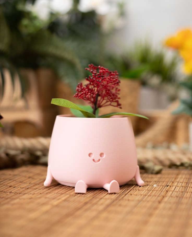 Flower Pots