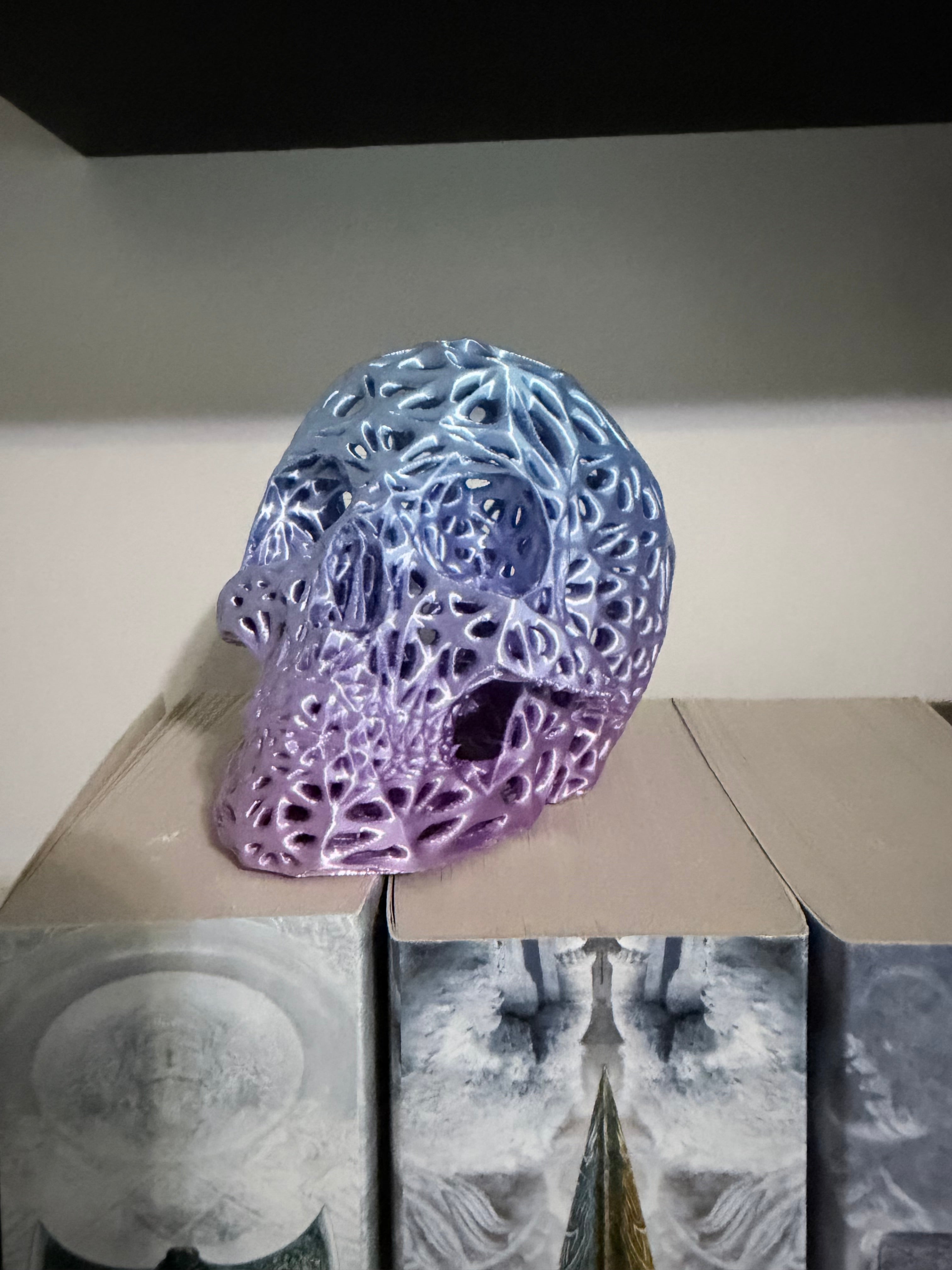 Skull