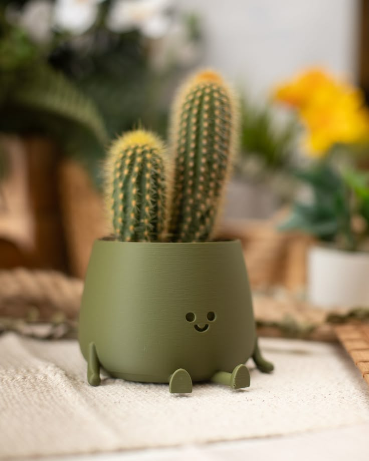Flower Pots